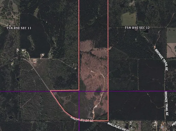 1234 Mallilieu Rd, Ruth, MS 39662