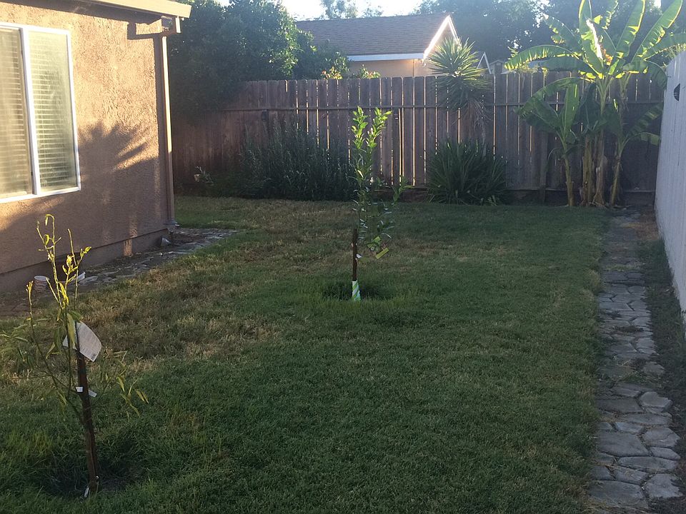 1st image of 3041 Kounias Dr