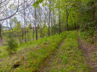 1817 Lakeside Dr, Franklin, NC 28734