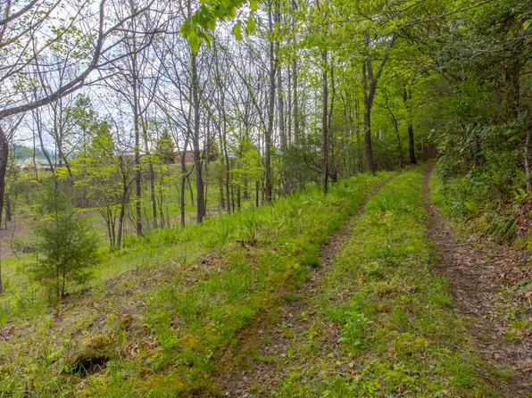 1817 Lakeside Dr, Franklin, NC 28734