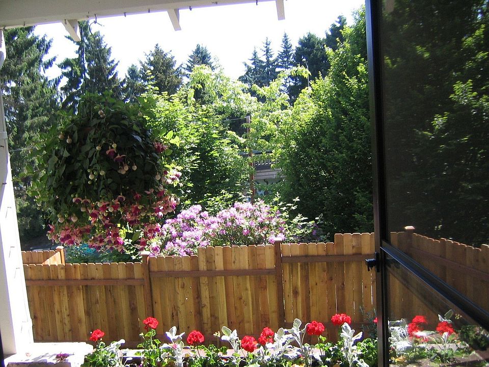 view from front porch
