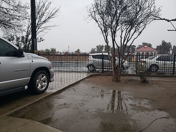 Front yard, driveway, and Rodirongate