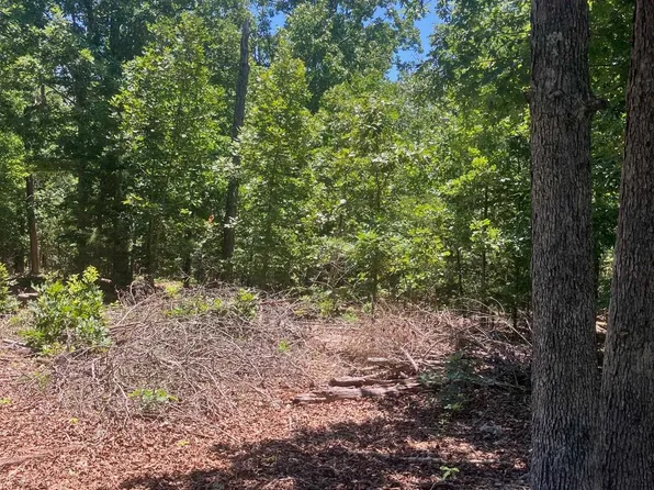 Red Fox Rd, Hardy, AR 72542
