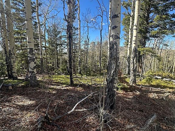 3rd image of Lot 6744 Starkweather Road
