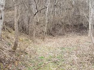 1705 Dark Ridge Rd LOT 4, Sylva, NC 28779