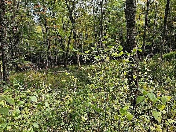 5th image of Lot 29 Lee Gualtney Road