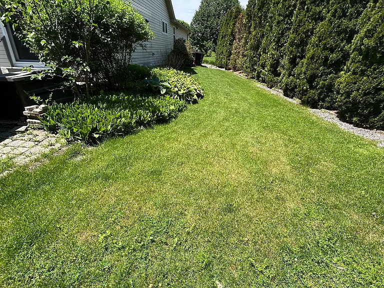 1864 Autumnwood Dr — Photo 16