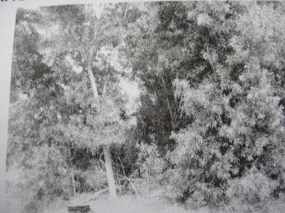 1st image of 2341 SW Barber Ln