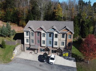 17 Creekside Vlg, Snowshoe, WV 26209