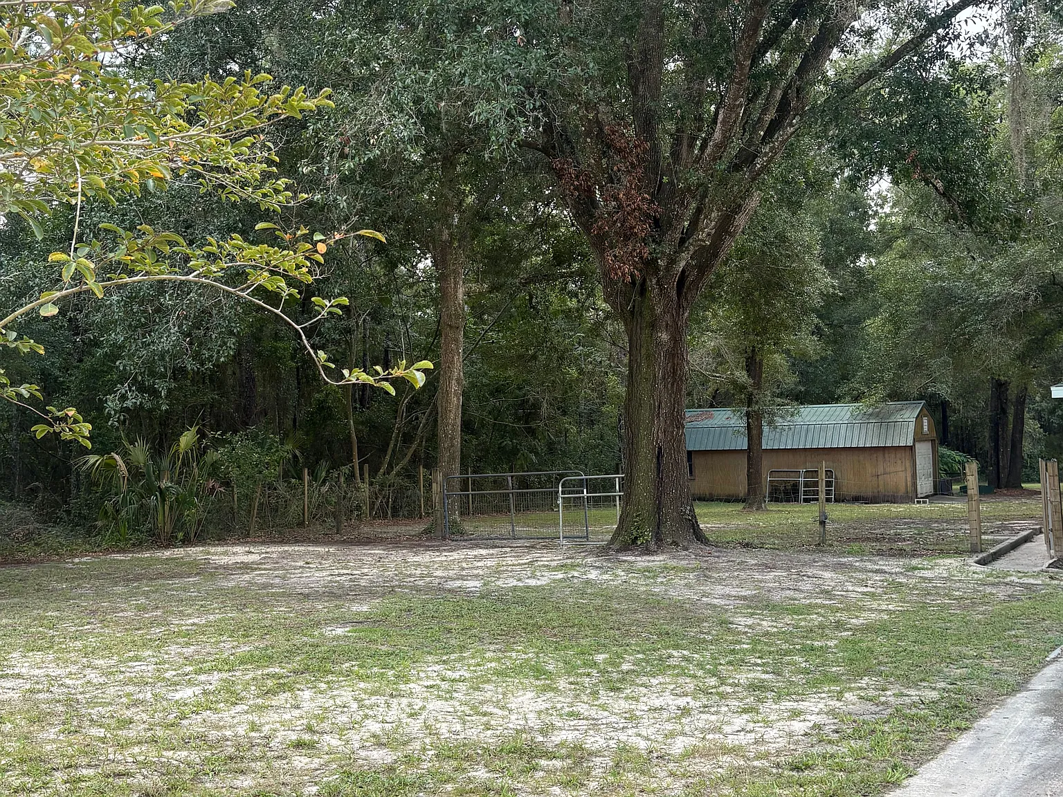 3 bed, 2.0 bath, 1596 sqft, $1,925 — Photo 4