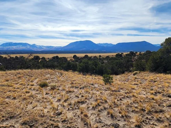 36 Colorado Land Grazing, Walsenburg, CO 81089
