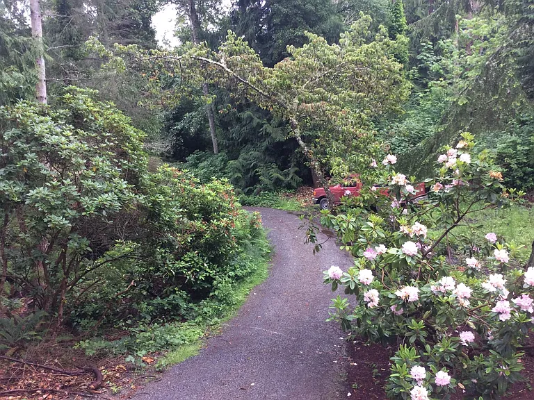 1626 Vine Maple Ln — Photo 3