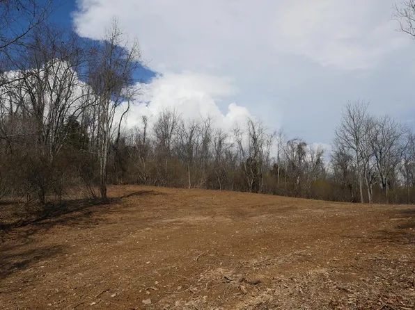 Chestnut Tower Ln, Max Meadows, VA 24360