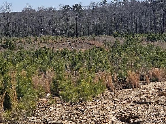2nd image of 0 Highway 139 #1