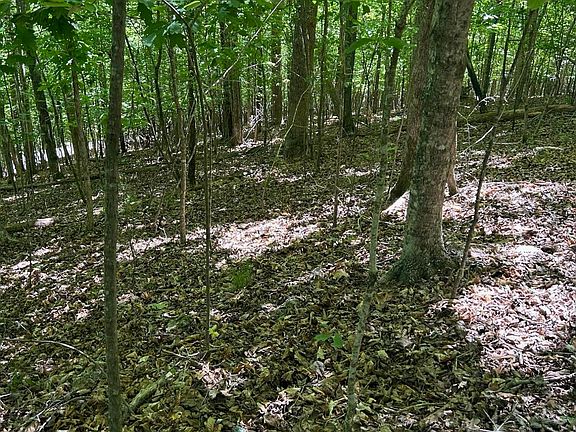 4th image of LOT 63 Stoney Rock Ln