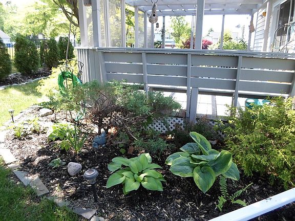 Shade garden