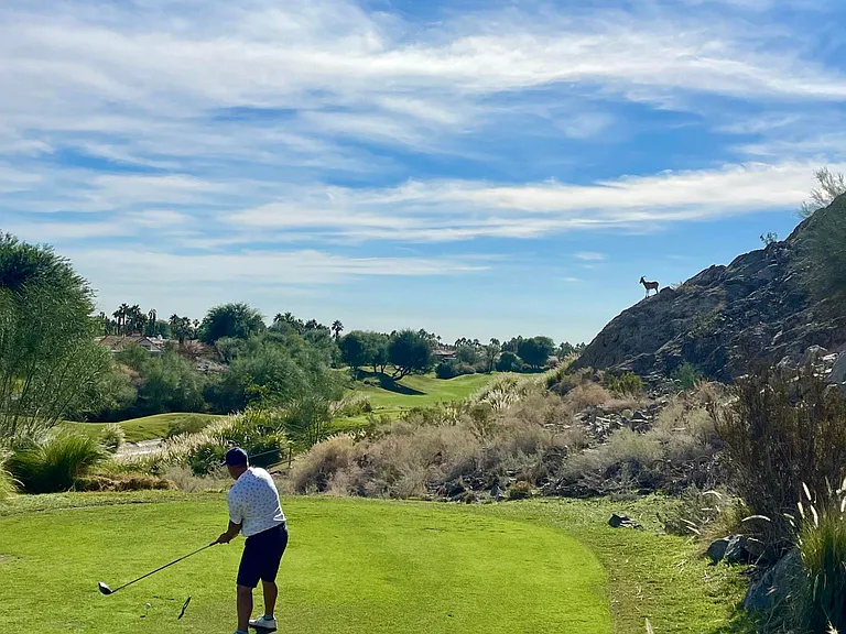 Big Horn Sheep judging the longest drive. Nicklaus Private course