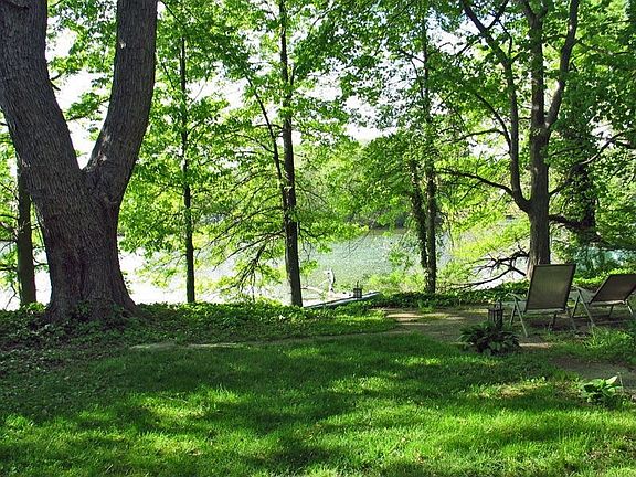 lake view in shady backyard