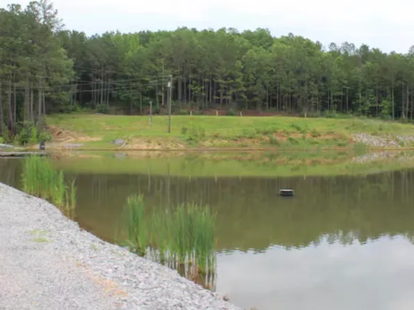 0 Reese Rd, Guin, AL 35563