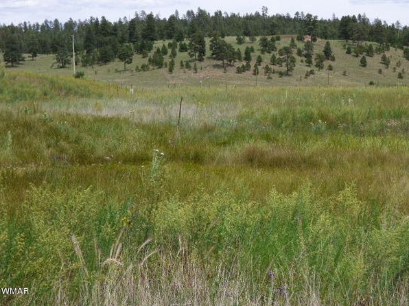 LOT-34A The Rnch #AT, Alpine, AZ 85920