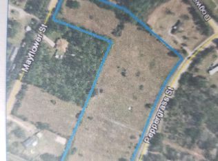 4928 Peppergrass St, Middleburg, FL 32068