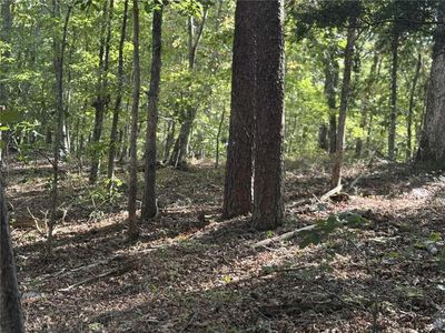 0 Cagle Rd NE Lot 277, Fairmount, GA, 30139