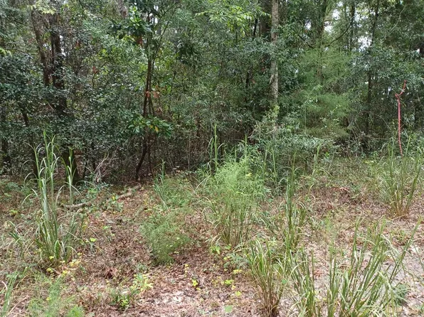 280th St, Branford, FL 32008