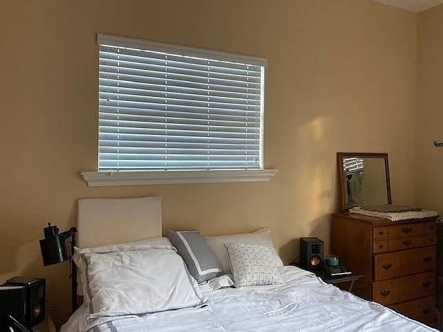 Venetian Blinds window treatment