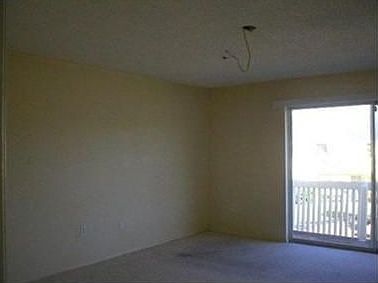 4th image of 7717 Palmera Pointe Cir