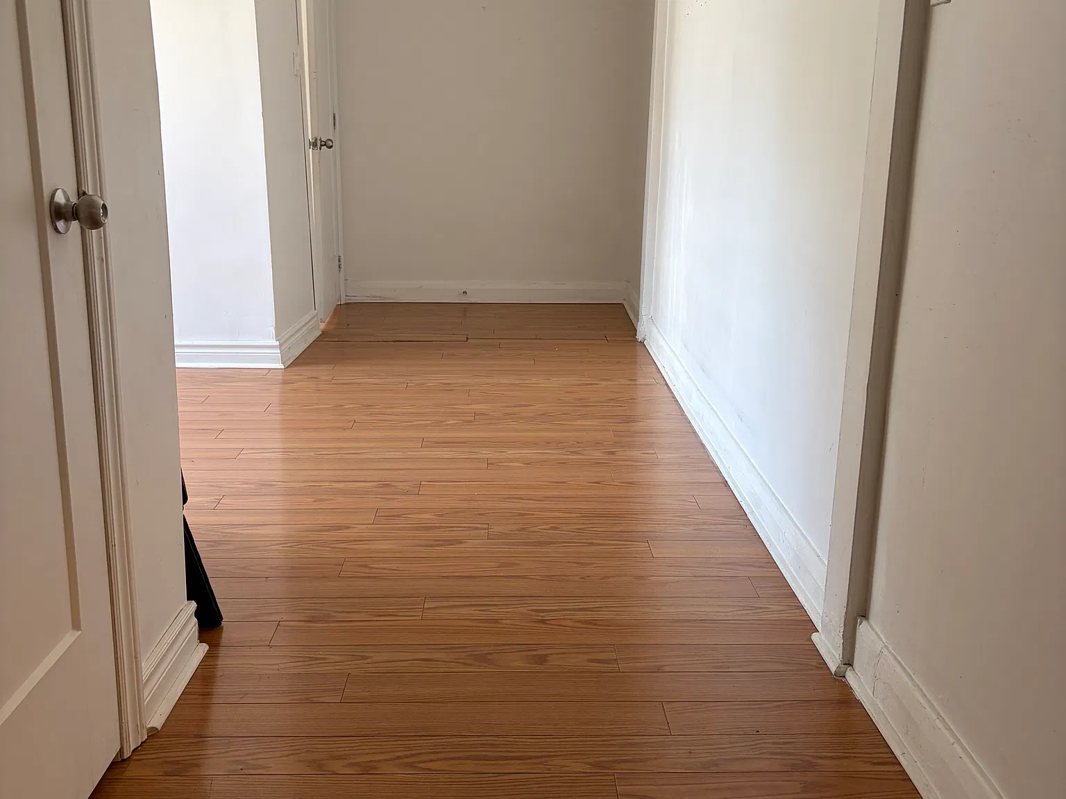 1 bed, 500 sqft, $1,550 — Photo 3