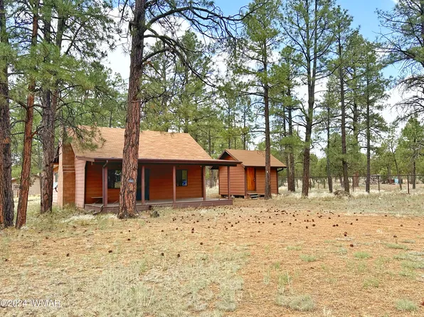 2860 Deer Trl, Overgaard, AZ 85933
