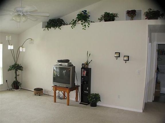 Great room plant shelves