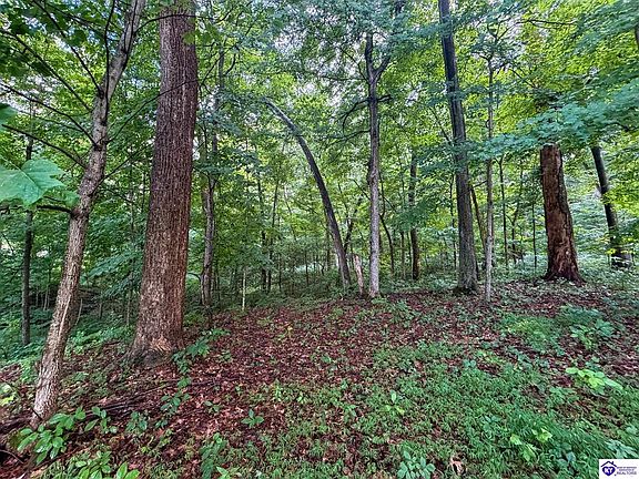 5th image of LOT 25 Ferncliff Rd