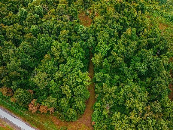 4th image of Bear Knob Ln