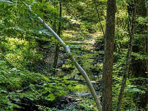 2nd image of Flint Hill Ln