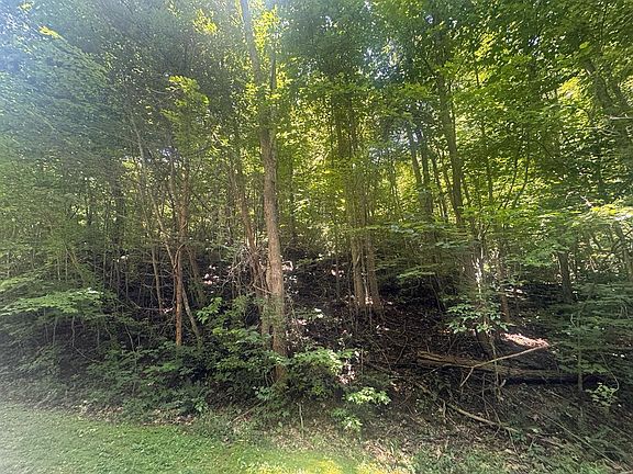 3rd image of 2.33 Flat Rock Valley Rd