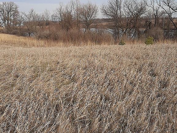 looking east at pond