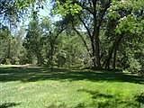3rd image of 2531 Ivy Knoll Dr