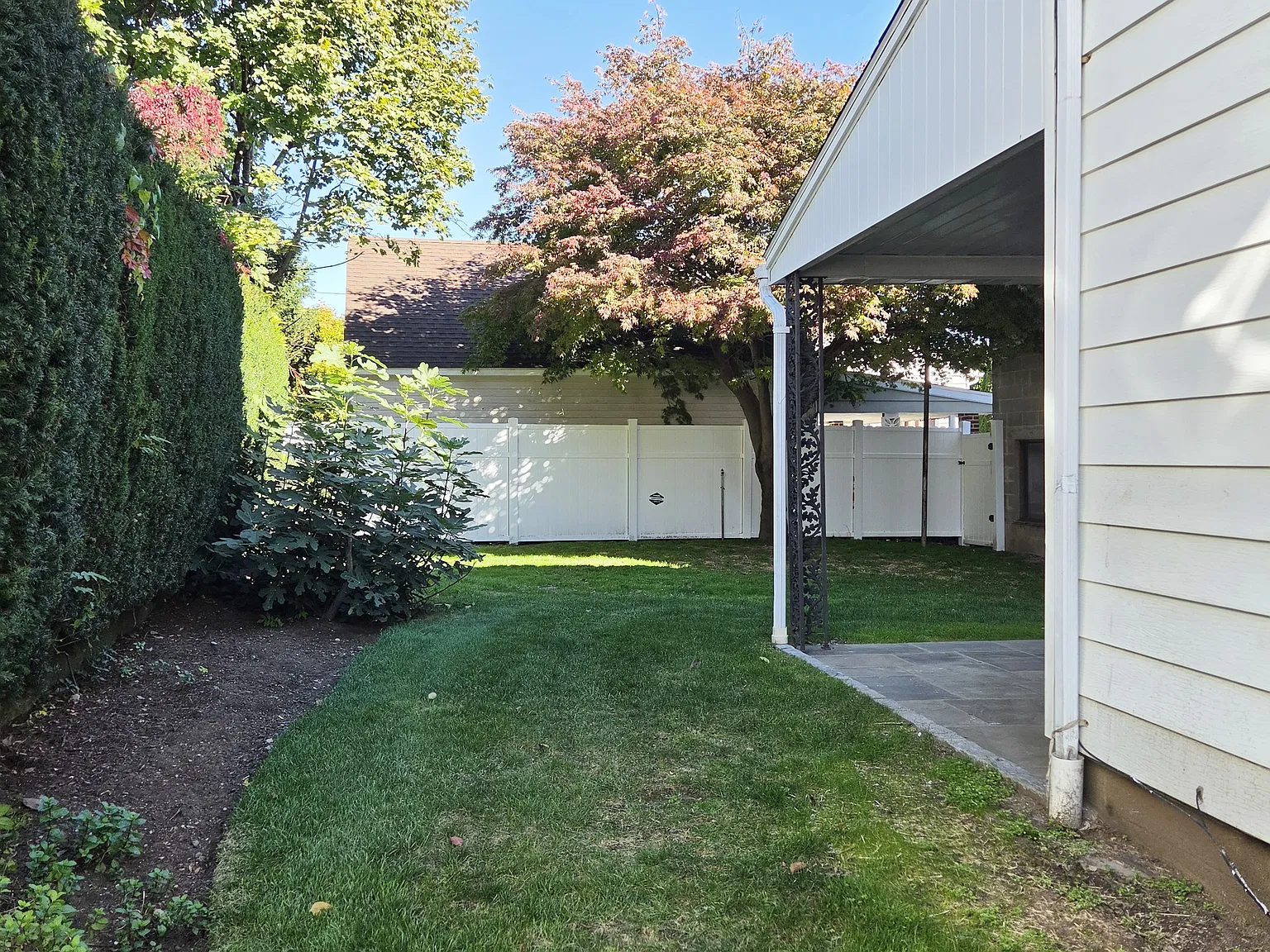 2 bed, 1000 sqft, $3,900 — Photo 2