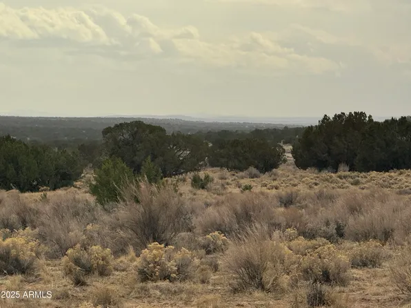 Lot 13 Witch Well Ranches -- #13, St Johns, AZ 85936