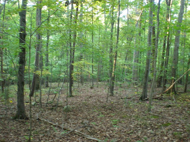1st image of 8 Lanier Dr