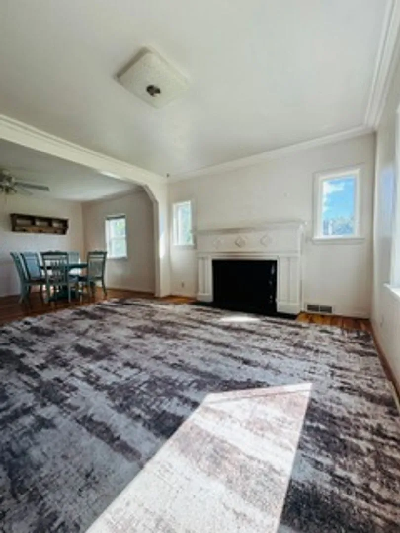 Blue House — Photo 3