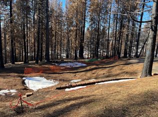 4962 Edgewood Cir, Grizzly Flats, CA 95636
