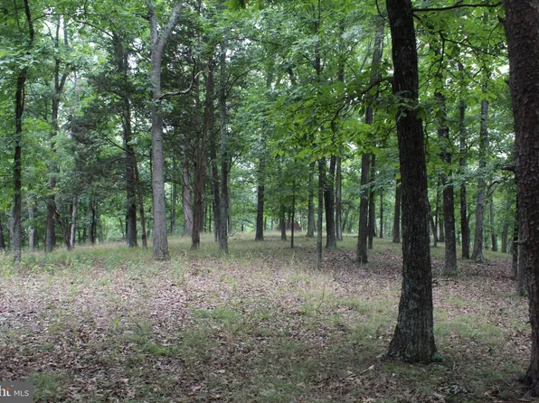 33 Whitetail Ridge Rd, Burlington, WV 26710