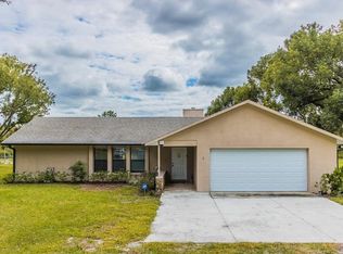 411 Lemon Bluff Rd, Osteen, FL 32764