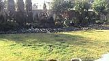 2nd image of 1110 110th St S