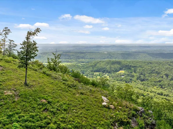 1134 Ransom Point Rd, Signal Mountain, TN 37377