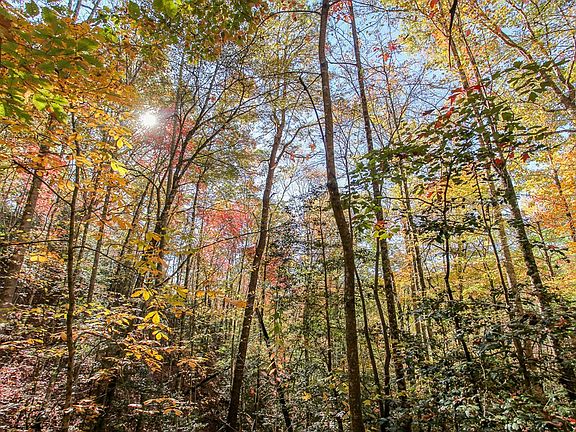 4th image of 99999 Watia Rd