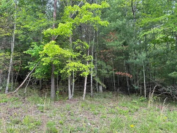 114 Forest Hill Dr, Fairfield Glade, TN 38558