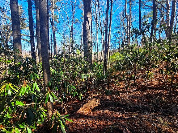 3rd image of 115 Fragrant Pine Dr